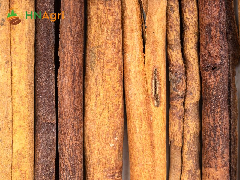 cassia-cinnamon-benefits-a-comprehensive-guide-for-wholesalers-2