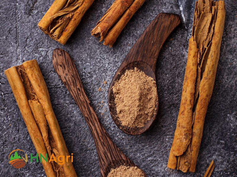 ceylon-cinnamon-unveiling-the-true-essence-of-spice-perfection-3