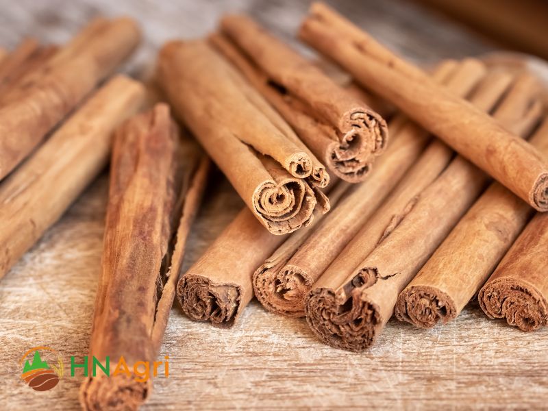 ceylon-cinnamon-unveiling-the-true-essence-of-spice-perfection-2